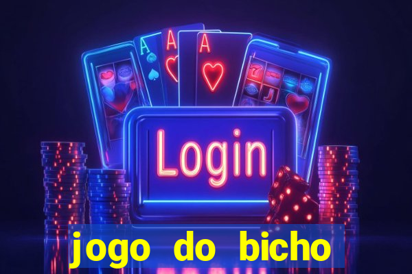 jogo do bicho crash bingo